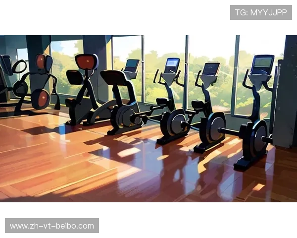 高效健身器材，助你塑造完美身材，提升锻炼乐趣与效果